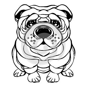 Black line art. The drawin dog looks like: Pug, Shar Pei, Bulldog. Vector drawing is isolated from the background