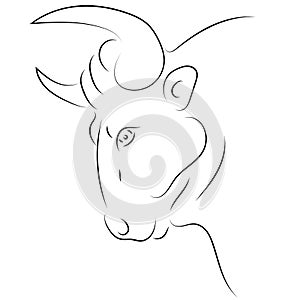 Black line bull head on white background. Hand drawing vector. S