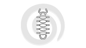 Black line Centipede insect icon isolated on white background. 4K Video motion graphic animation