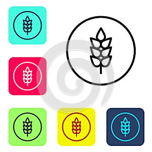 Black line Cereals set with rice, wheat, corn, oats, rye, barley icon isolated on white background. Ears of wheat bread