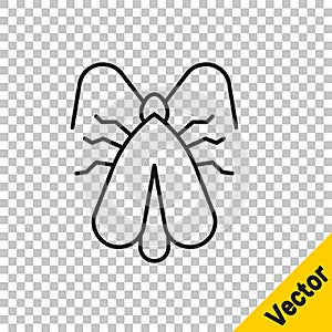 Black line Clothes moth icon isolated on transparent background. Vector