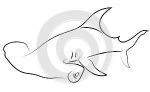 Black line hammerhead sharks on white background. Hand drawing v