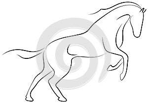 Black line horse on white background. Running horse sketch style