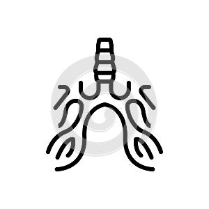 Black line icon for Bronchus, breath and chest