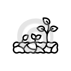 Black line icon for Growing, increasingly and evolution