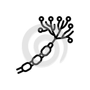 Black line icon for Nerve, neuron and biology