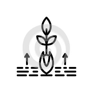 Black line icon for Origin, root and grow