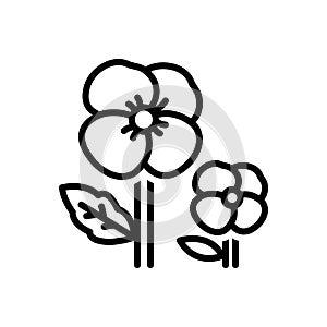 Black line icon for Pansy, ladylike and florist
