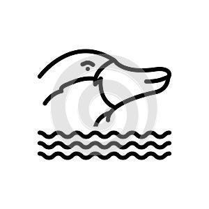 Black line icon for Platypus, nocturnal and burrowing