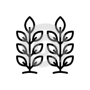 Black line icon for Vegetation, plants and greenery