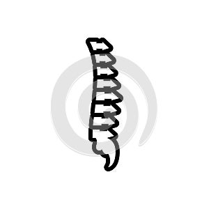 Black line icon for Vertebra, anatomy and backbone
