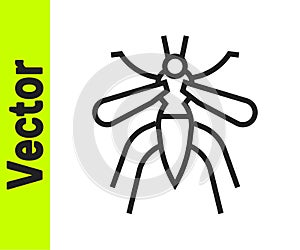 Black line Mosquito icon isolated on white background. Vector