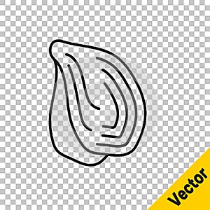 Black line Mussel icon isolated on transparent background. Fresh delicious seafood. Vector