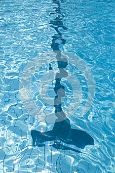 Black line in swimmingpool