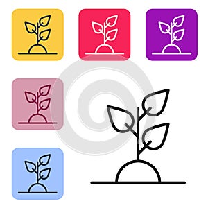 Black line Volunteer team planting trees icon isolated on white background. Represents ecological protection, protecting