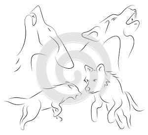 Black line wolfs on white background. Hand drawn linear sketch.