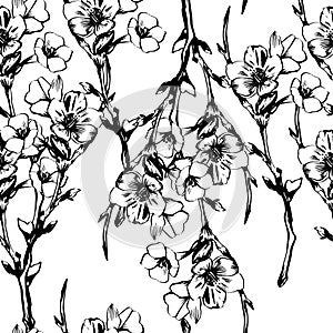 Black lined sakura hand drawn seamless pattern on white background. Vector botanical background.