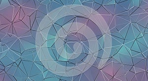 Black lines outline each polygon creating a network of sharp angular