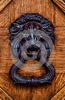 Black lion head door knocker