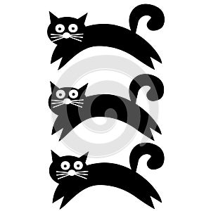 Black lovely cat for T-shirt print