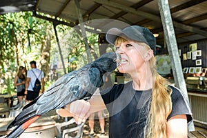 A black Macaw taking a sunflower seed from a girlâ€™s mouth. Australian Black Macaw Parrot.