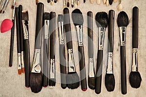 Black Makeup Brushes with Natural Pile. Set of Professional brushes for makeup artist