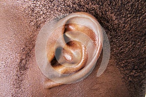 Oreja 