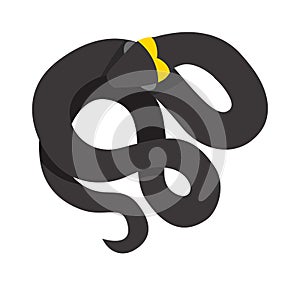 Black mamba uncoiled reptile ready to strike snake dangerous venomous animal vector.