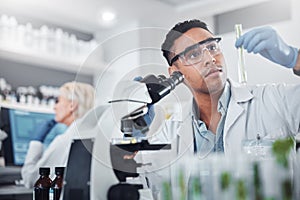 Black man, scientist and lab with test tube research, microscope and focus for agriculture study with plant. Science