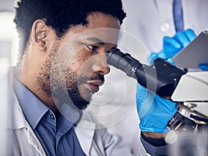 Black man, scientist and microscope with science research in laboratory, data analysis and expert with scientific or
