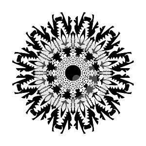 Black Mandala Vector On White Background Illustrations