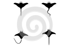 Black manta logo vector