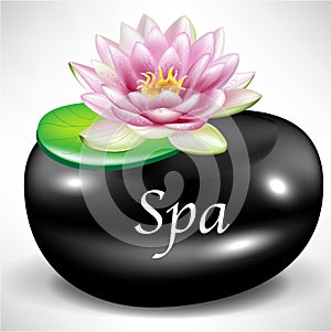 Black massage/spa pebble as background with flower