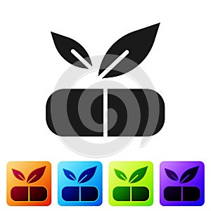 Black Medical pill with plant icon isolated on white background. Herbal pill. Set icons in color square buttons. Vector