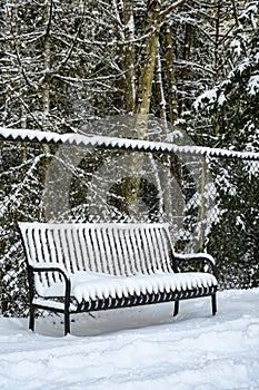 Black metal bench covered in snow against a black chain link fence on a snowy day, forest in background