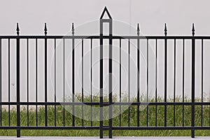 Black metal fence. Behind the fence is growing grass