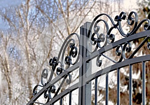 black metal fence closed a private garden