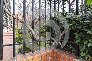 A black metal fence that protects the landscaped common areas