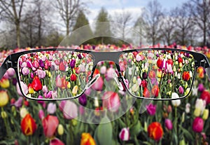 Black metal glasses looking through colorful flower field