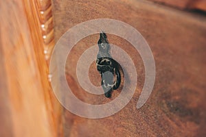 Black metal knob on the wooden furniture.