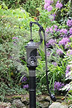 Black Metal Old Waterpump in a garden photo