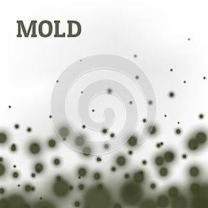 black mold border from below vector realistic photo