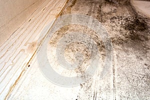 Black mold in the corner, old ceiling of building, water damage causing mold growth, dangerous toxic fungus in the room