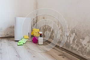 Black mold in the corner of room wall, dehumidifier and spray bottle with mildew removal products