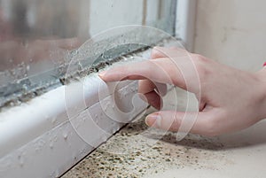 Black mold fungus growing on windowsill. Dampness problem concept. Condensation on the window