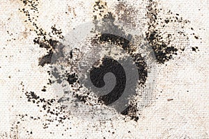 Schwarz schimmel auf der weiß wand. detailliert aus schimmel wand Pilz 