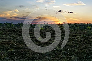 Black Moor landscape of biosphere reserve Rhoen, Germany, by dusk photo