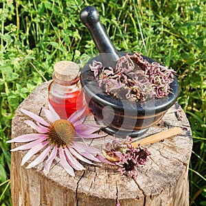 Black mortar with dried coneflowers and vial with essential oil