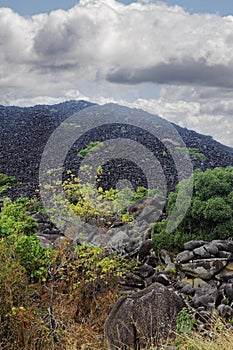 Black Mountain, North Queensland Australia