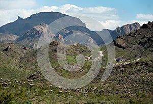 The Black Mountains, Western Arizona photo